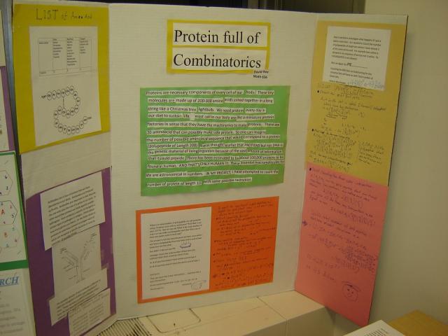 Protein Full of Combinatorics