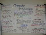 Chromatic Polynomials